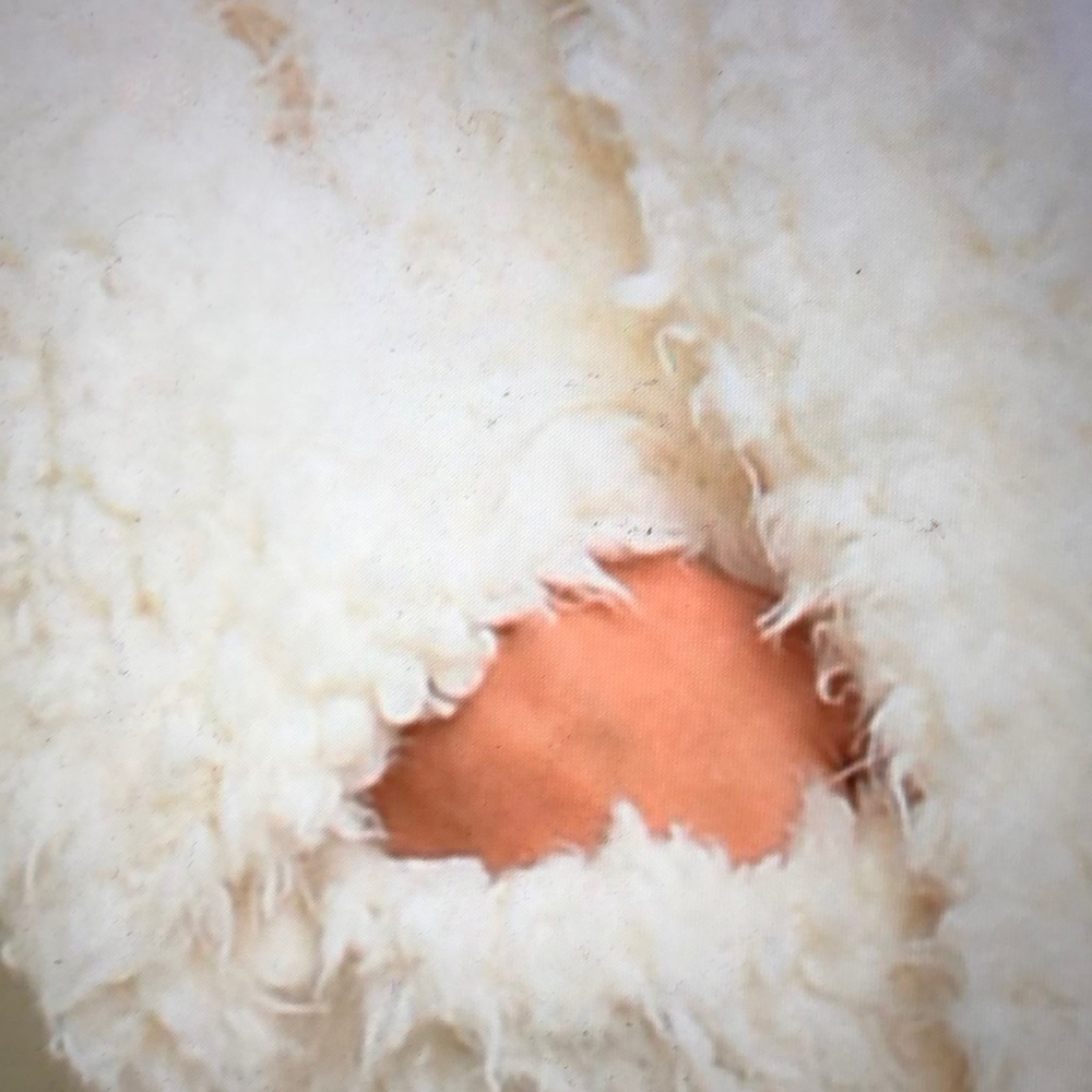 Faux fur fluffy coat - Picture 3 of 3